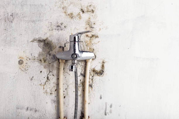 Best Water Damage Restoration  in Ferrum, VA