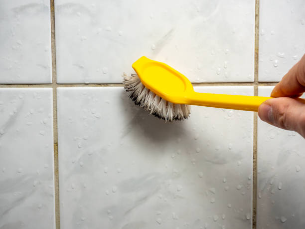 Best Mold Removal Specialists  in Ferrum, VA