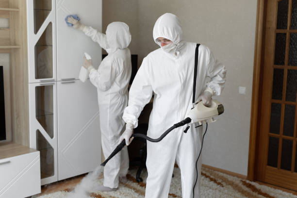 Best Professional Mold Removal  in Ferrum, VA
