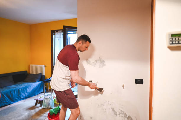 Best Mold Cleaning Services  in Ferrum, VA