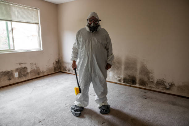 Best Mold Remediation Services  in Ferrum, VA